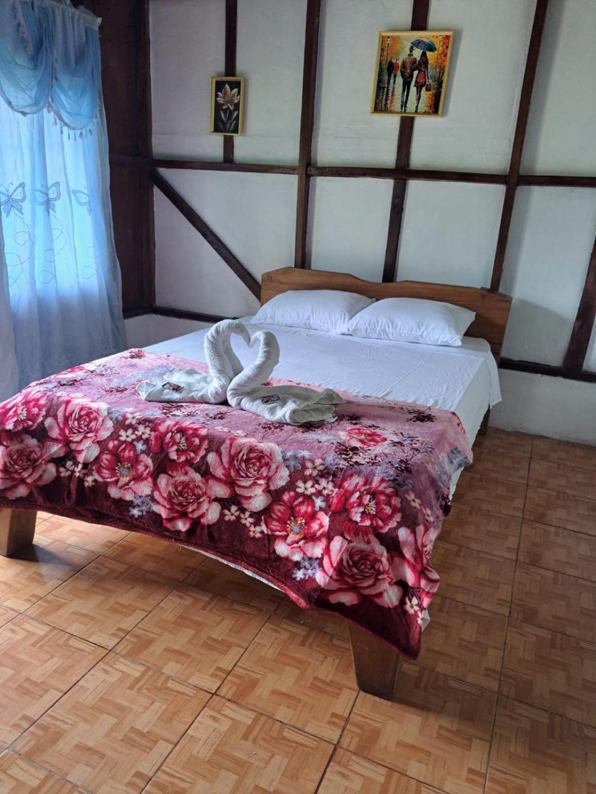Posada Rio Celeste In Bed and Breakfast Eksteriør billede